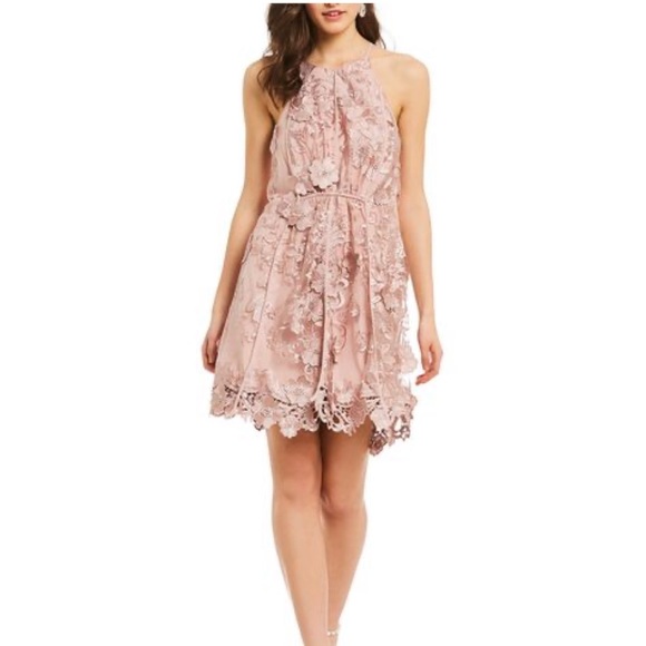 Badgley Mischka Dresses & Skirts - Belle Badgley Mischka Embroidered Trapeze Dress
